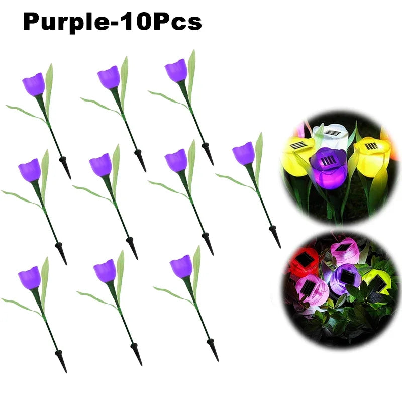49550529495327