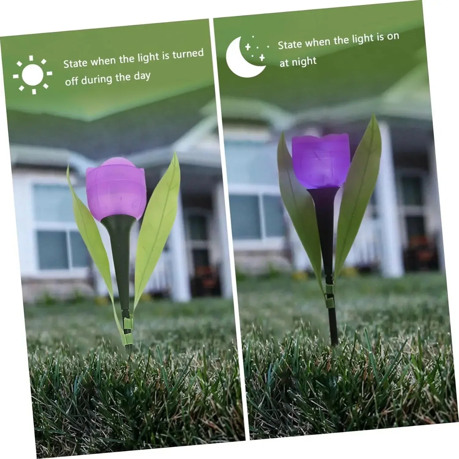 Solar Outdoor Waterproof Tulip Rose Lights